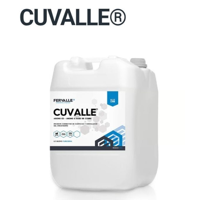 Cuvalle
